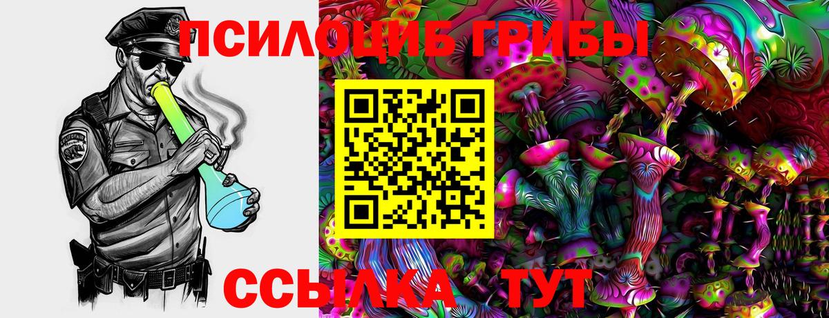 Нерюнгри  Галлюциногенные грибы MAGIC MUSHROOMS  Вход с VPN 