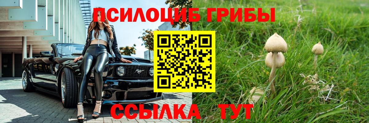 Галлюциногенные грибы мухоморы Нерюнгри
