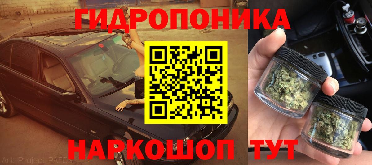 МАРИХУАНА сатива Нерюнгри